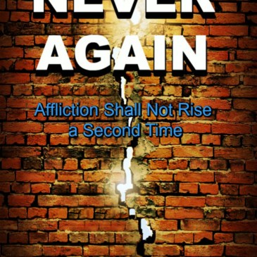 Never Again Book Cover