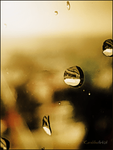 Raindrops by Karol the Artist, September 2024